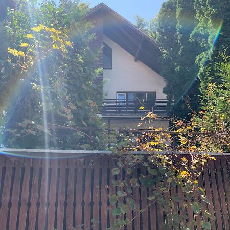 Timi Residence ブラショフ エクステリア 写真