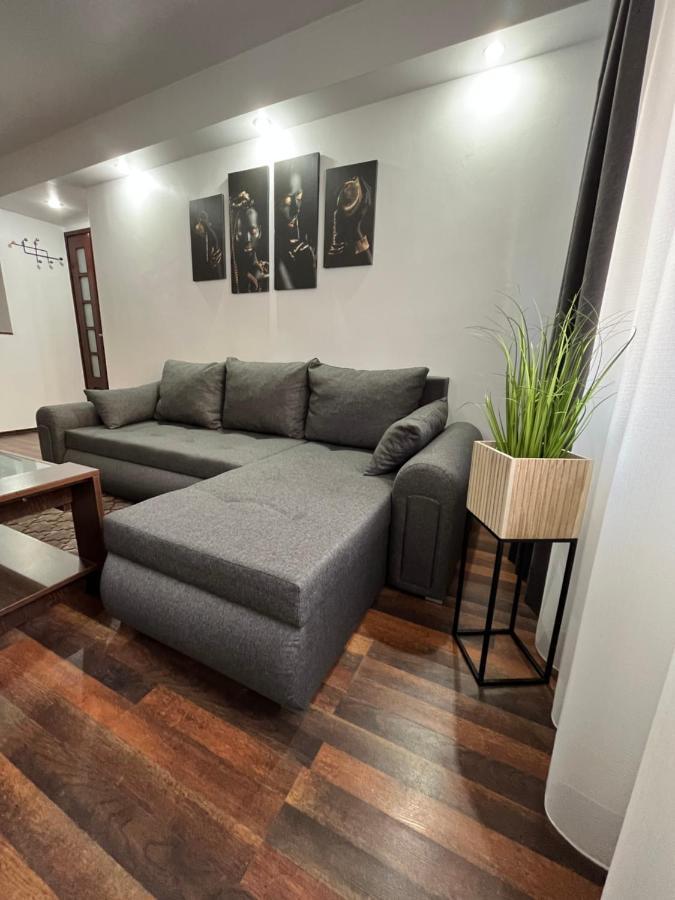 Timi Residence ブラショフ エクステリア 写真