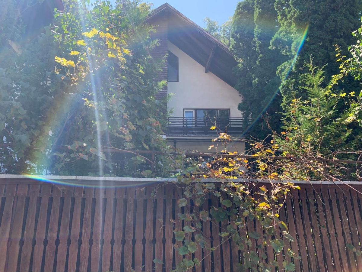Timi Residence ブラショフ エクステリア 写真
