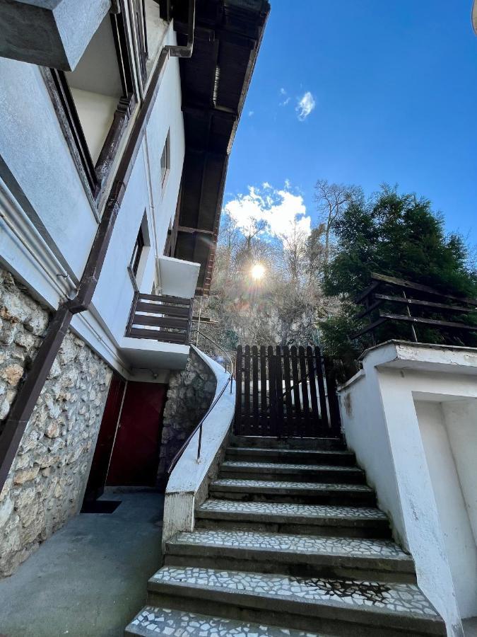 Timi Residence ブラショフ エクステリア 写真