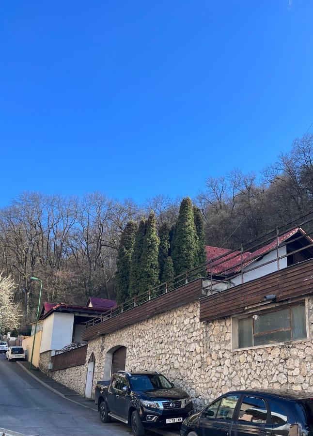 Timi Residence ブラショフ エクステリア 写真
